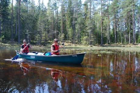 Svartälven beautiful canoe adventure in Sweden