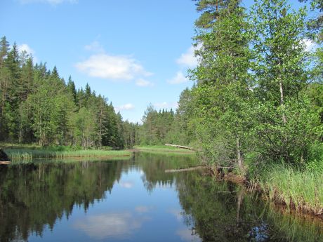 Svartälven canoe trip 10 days